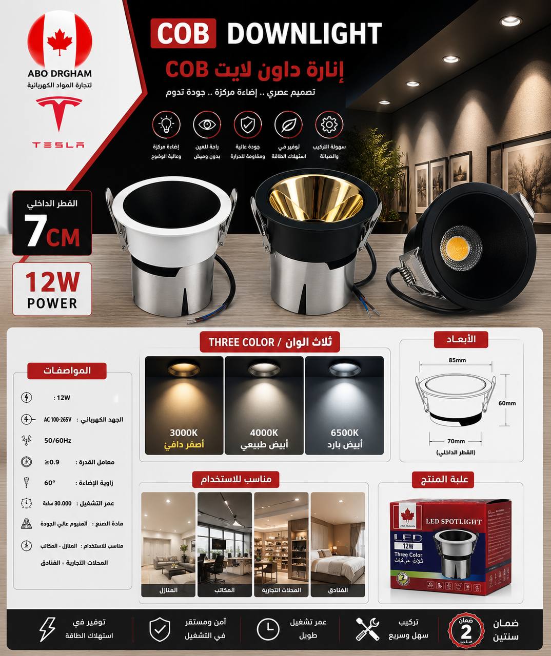 COB Downlight 12W